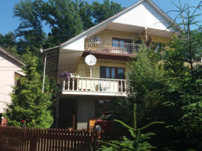 Guest house Fortuna, Karpaty